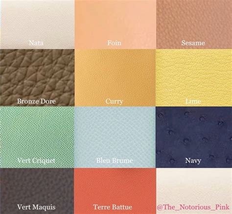 evelyne bag color chart.